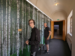 Metal Music in Museums