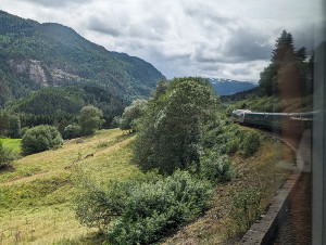 Train to Bergen